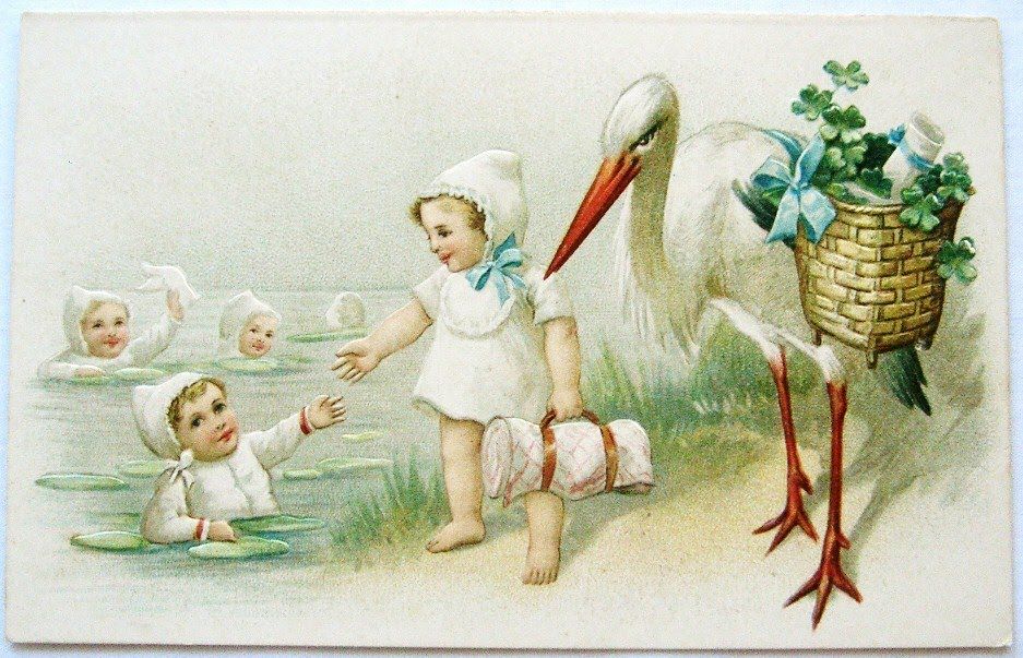 Из пупка, из попы: 116 историй о том, откуда берутся дети