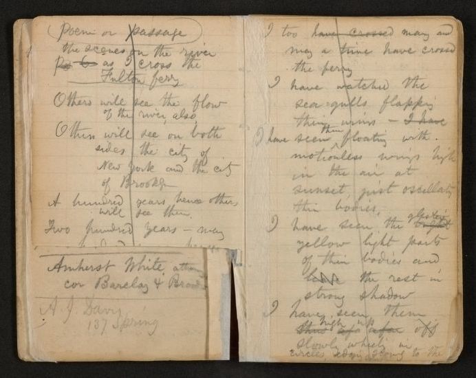 «Открыл и пропал»: маленькие истории о любви к поэзии