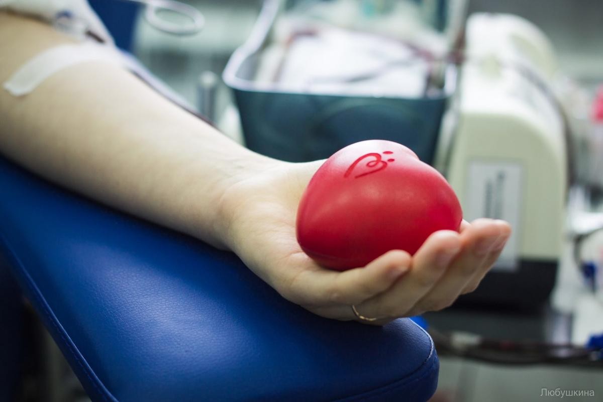 Кругом доноры лежат: 25 историй со станций забора крови